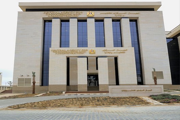 التنظيم والادارة