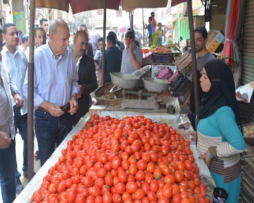  محافظ القليوبية يتابع توافر السلع بأسعار مناسبة في الأسواق