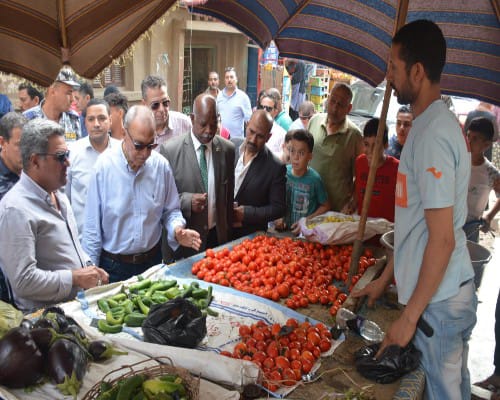  محافظ القليوبية يتابع توافر السلع بأسعار مناسبة في الأسواق