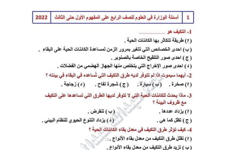 مراجعات نهائية