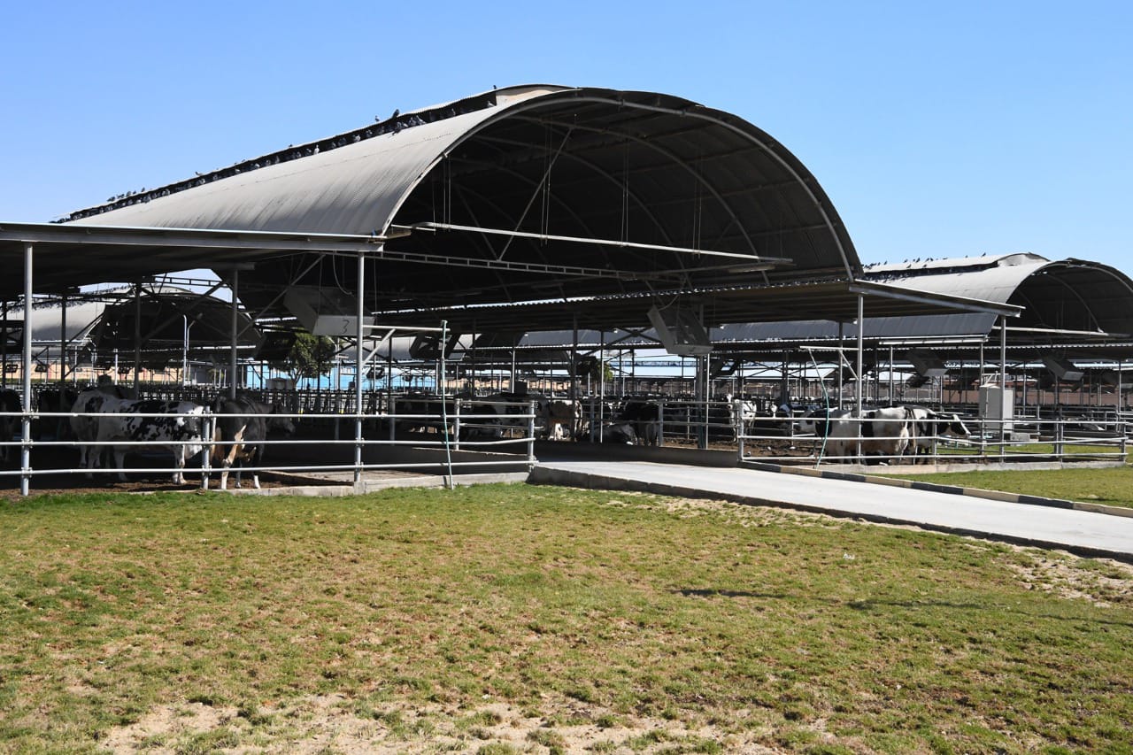 الاستثمار‭ ‬قاطرة‭ ‬التنمية‭ ‬فـى‭..‬‮«‬الجـمهورية‭ ‬الجديدة‮»‬‭ ‬