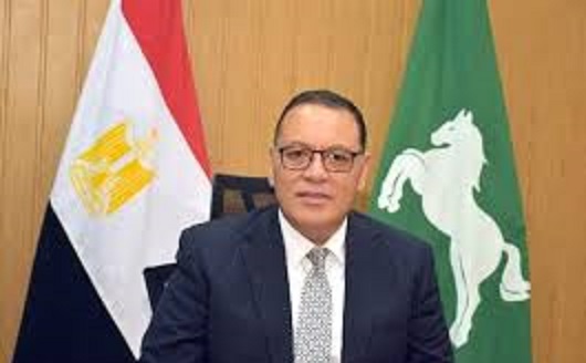 الدكتور ممدوح غراب محافظ الشرقية 