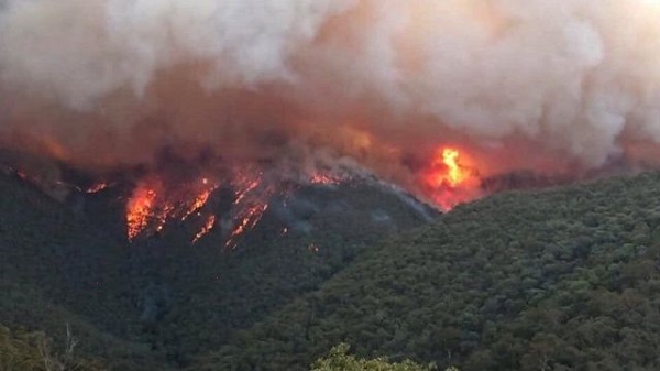 صورة تعبيرية