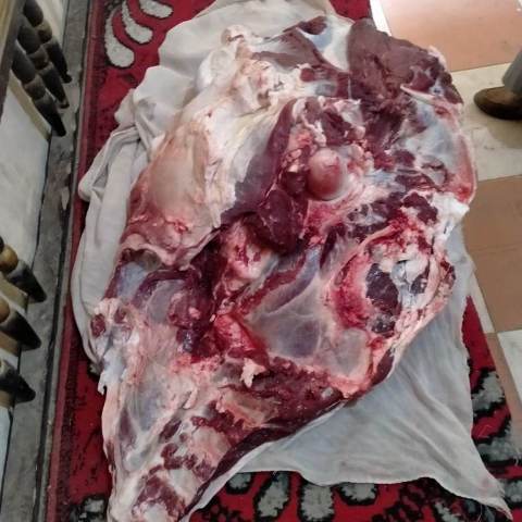 محافظ أسيوط : ضبط 289 قضية تموينية بمراكز وقرى أسيوط 