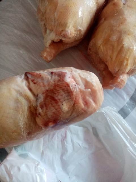 محافظ أسيوط : ضبط 289 قضية تموينية بمراكز وقرى أسيوط 