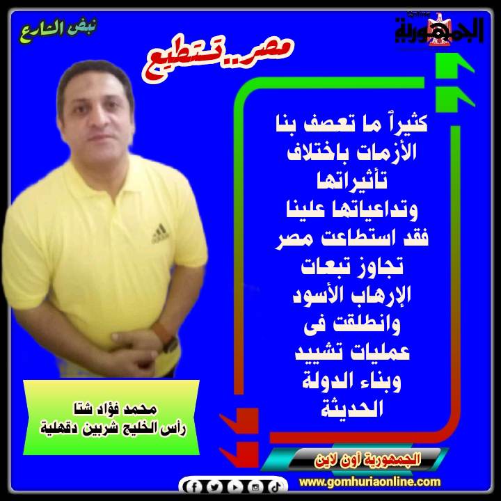 محمد فؤاد شتا 