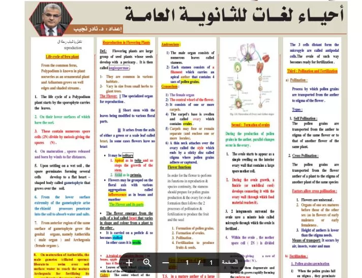 روشتة التفوق ف الأحياء لغات للثانوية العامة 2026 