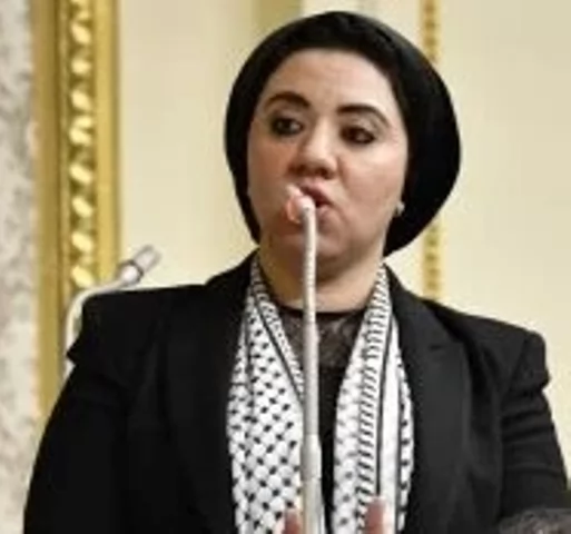 النائبة أميرة صابر قنديل