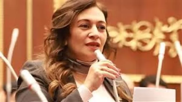 النائبة نيفين فارس