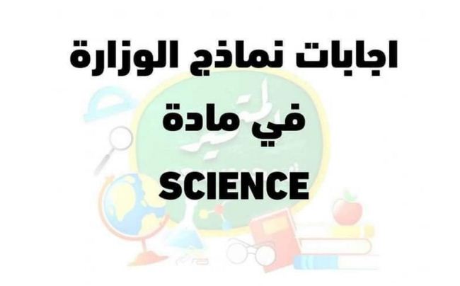 مراجعة نهائية
