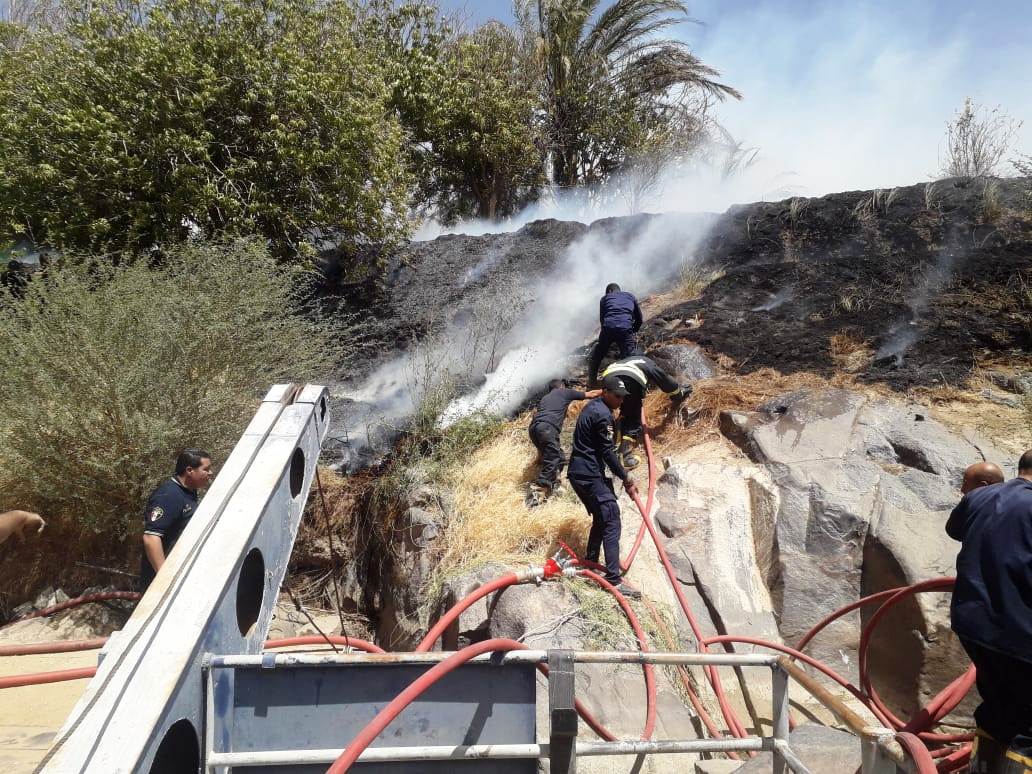 محافظ أسوان: السيطرة على حريق محدود بإحدى الزراعات الخاصة خارج نطاق الجزر النيلية  