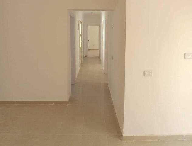 رئيس جهاز حدائق العاصمة يعلن تفاصيل الإسكان الأخضر بالمدينة.. صور