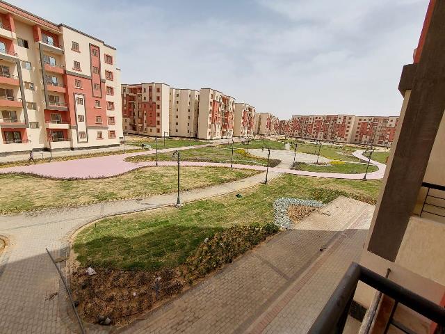 رئيس جهاز حدائق العاصمة يعلن تفاصيل الإسكان الأخضر بالمدينة.. صور