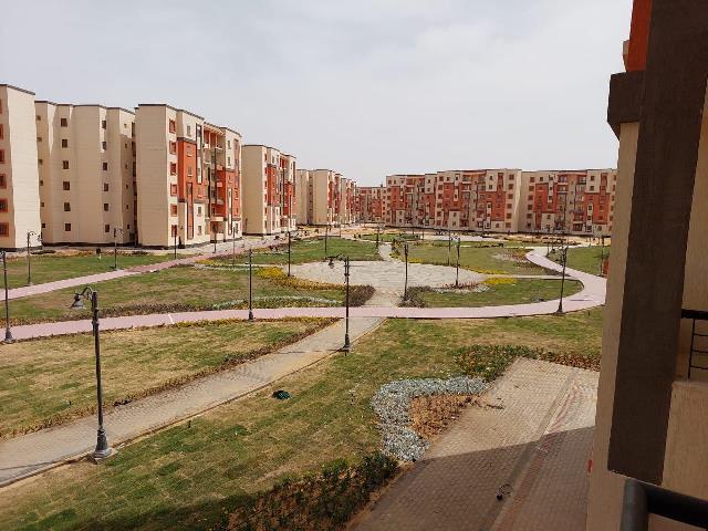رئيس جهاز حدائق العاصمة يعلن تفاصيل الإسكان الأخضر بالمدينة.. صور