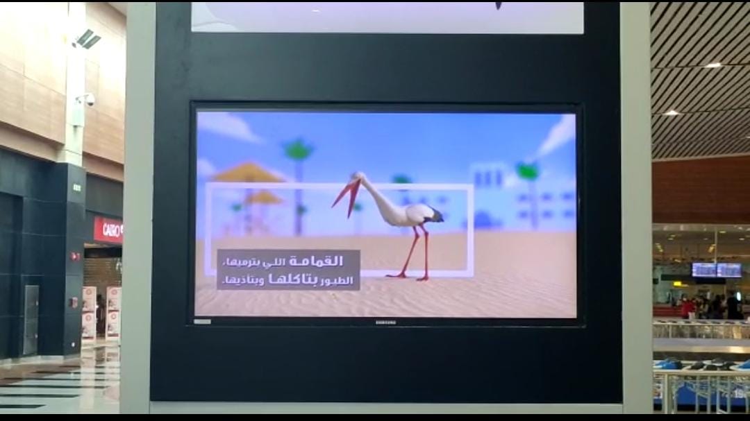 المطارات المصرية تشارك فى حملة حماية البيئة البحرية بالبحر الاحمر   