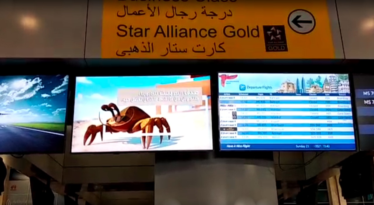المطارات المصرية تشارك فى حملة حماية البيئة البحرية بالبحر الاحمر   