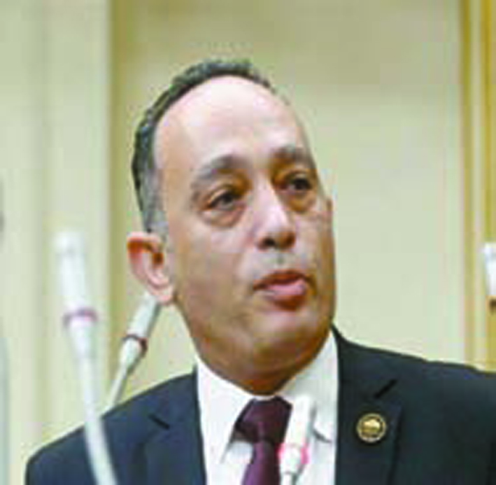 النائب الدكتور فريدى البياضى