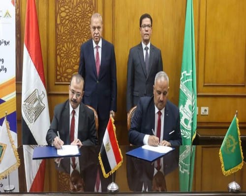 الدكتور محمود الصبروط  وكيل وزارة الشباب والرياضة بالقليوبية