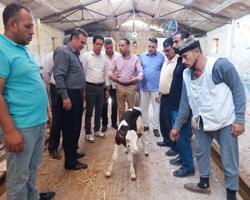 الجيزاوي يتفقد المزارع بكليتى الزراعة والطب البيطرى بمشتهر