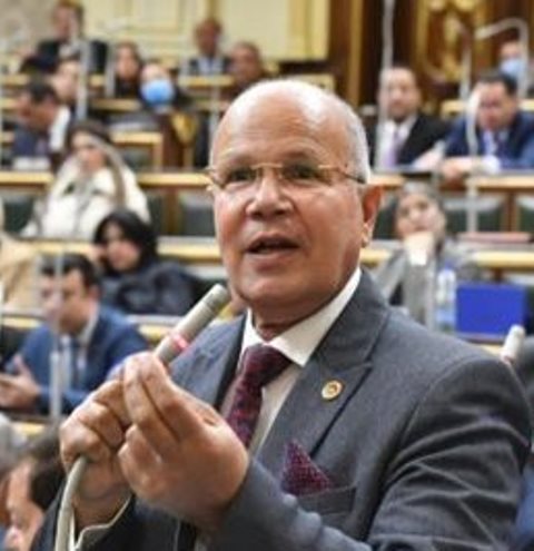 النائب السيد شمس الدين عضو مجلس النواب