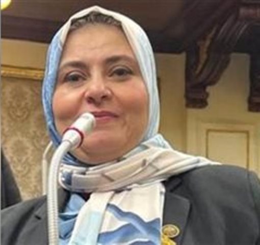 النائبة سحر العشرى