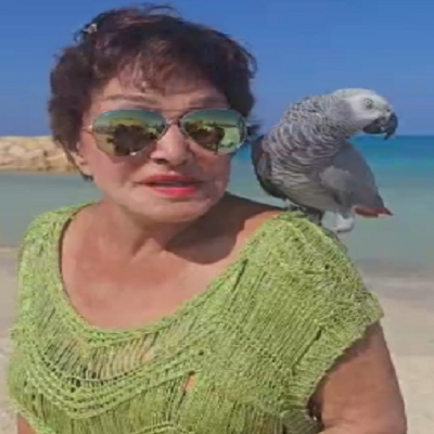 لبلبة 