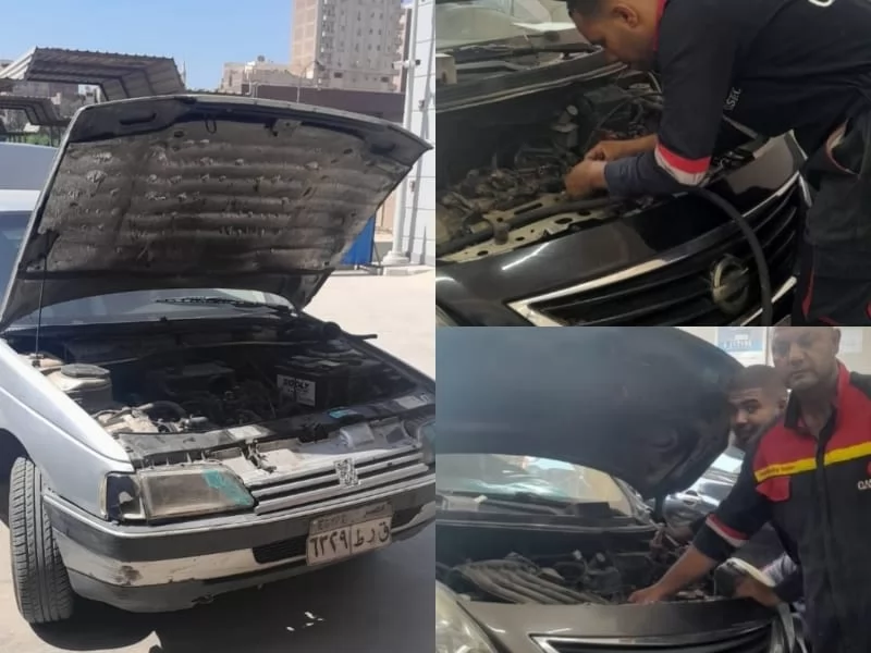 تحول أخضر بجامعة بنها.. بدء تحويل أسطول السيارات للعمل بالغاز الطبيعي