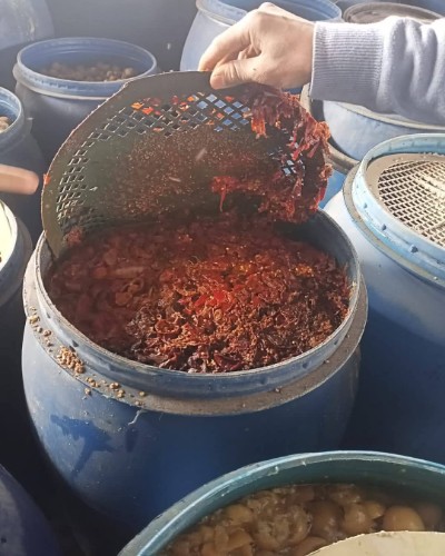 صحة القليوبية 