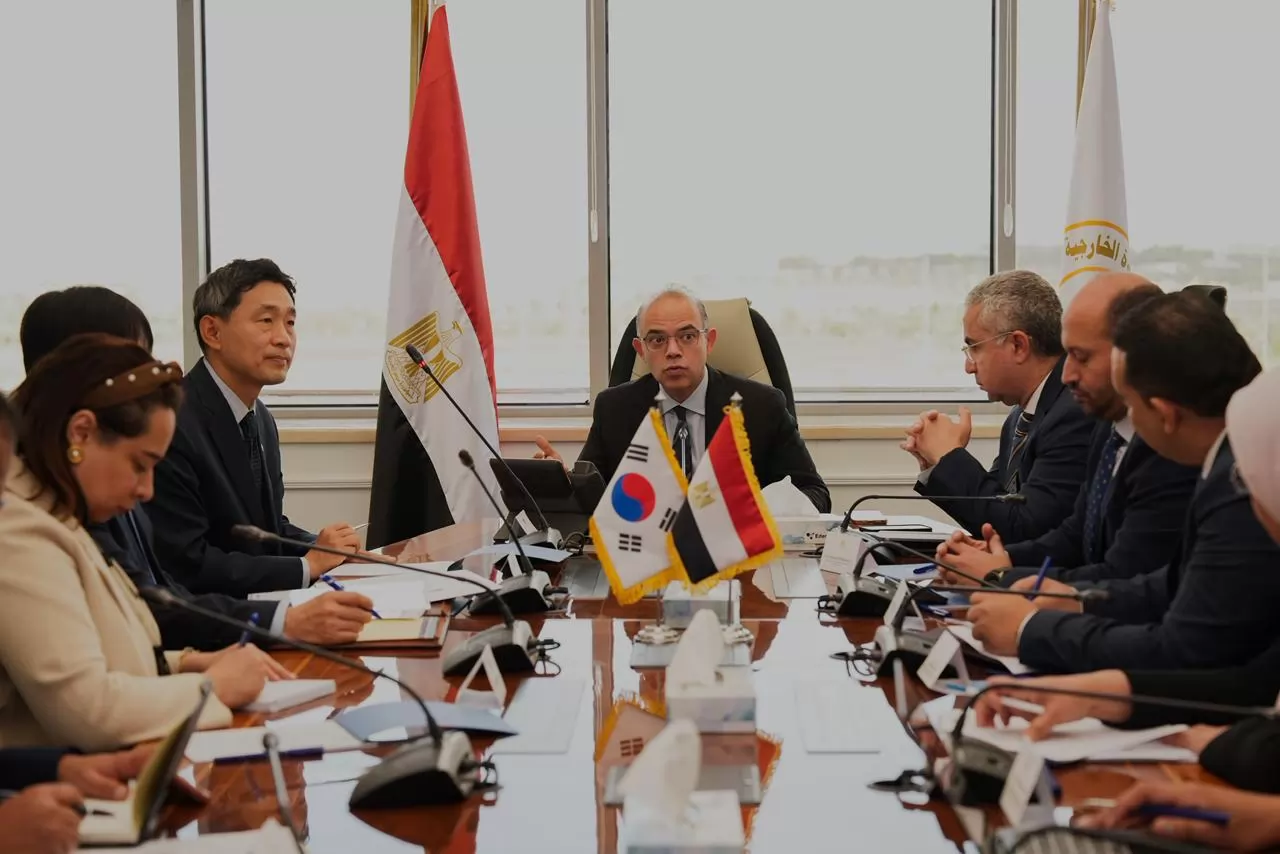 وزير الاستثمار