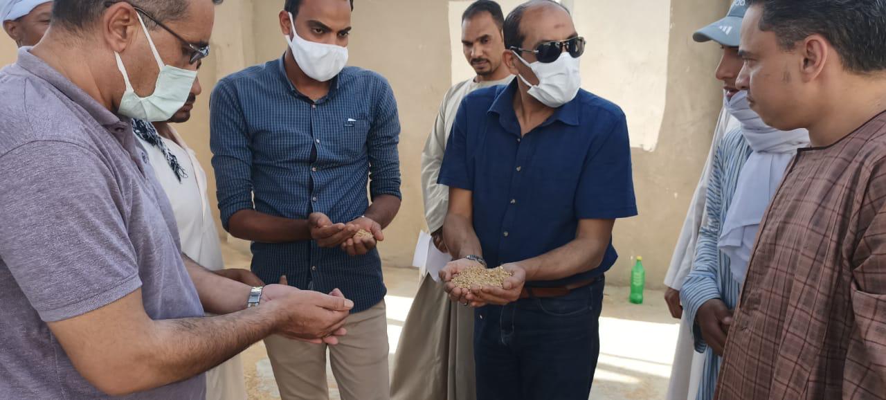 تحرير ١٥٧ محضر ومخالفة تموينية فى الأقصر