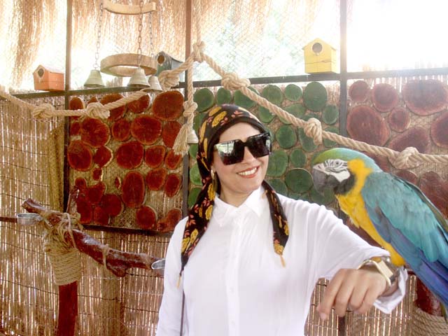 وختامه.. سعيد