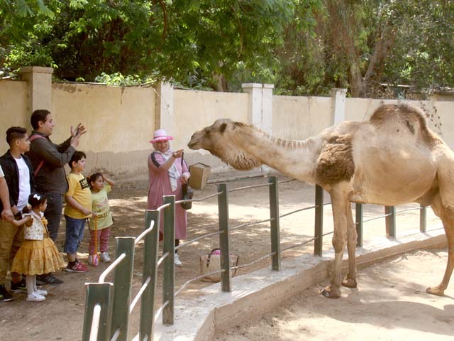 وختامه.. سعيد