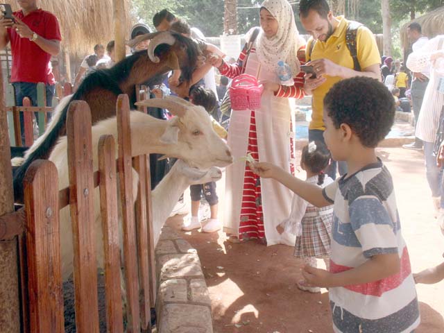 وختامه.. سعيد