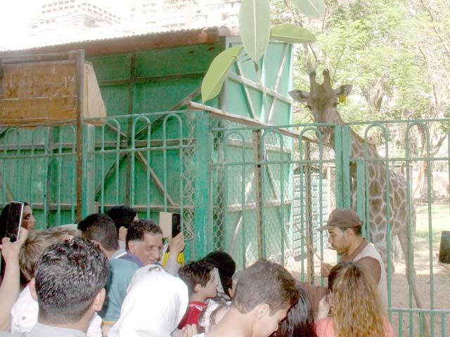 وختامه.. سعيد