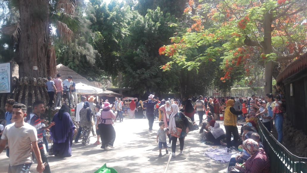 حديقة الحيوان بالجيزة