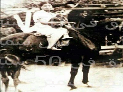 مالا تعرفه عن المعارض النزيه الذى حل الرئيس السادات مجلس الشعب من أجله