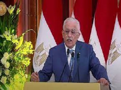 الدكتور طارق شوقى