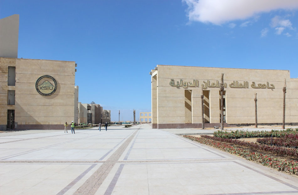 جامعة الملك سلمان الأهلية