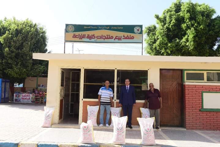 جامعة سوهاج تعلن عن بيع تقاوي قمح سدس ١٢ المقاوم للحرارة