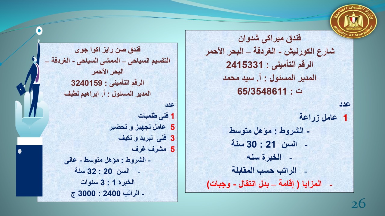 براتب يبداء من 2400.. القوى العاملة توفر 22 19 فرص عمل للجنسين 