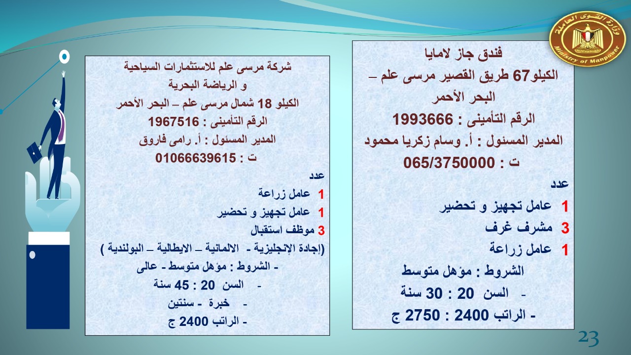 براتب يبداء من 2400.. القوى العاملة توفر 22 19 فرص عمل للجنسين 