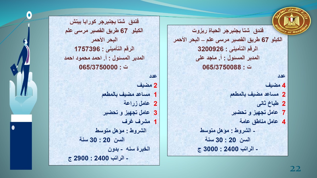 براتب يبداء من 2400.. القوى العاملة توفر 22 19 فرص عمل للجنسين 
