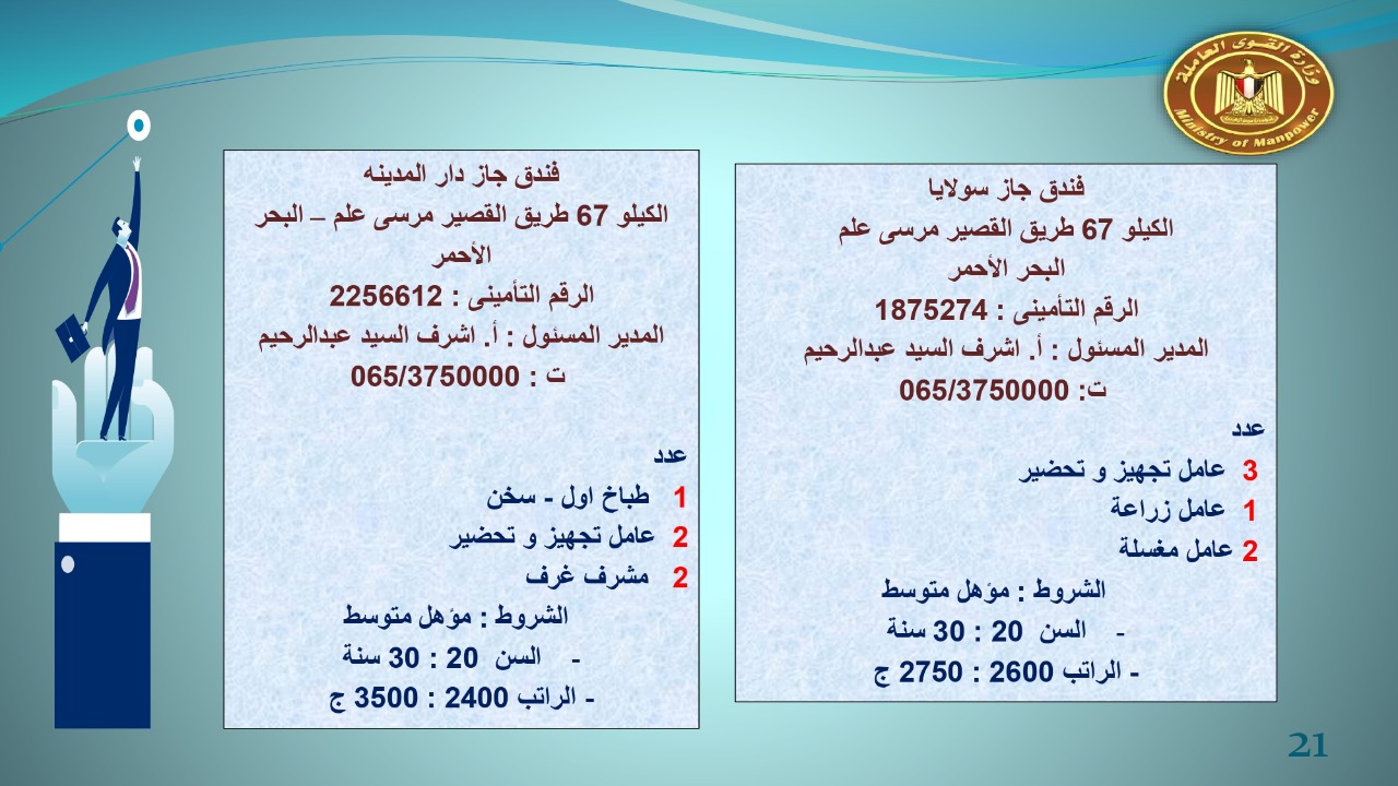 براتب يبداء من 2400.. القوى العاملة توفر 22 19 فرص عمل للجنسين 