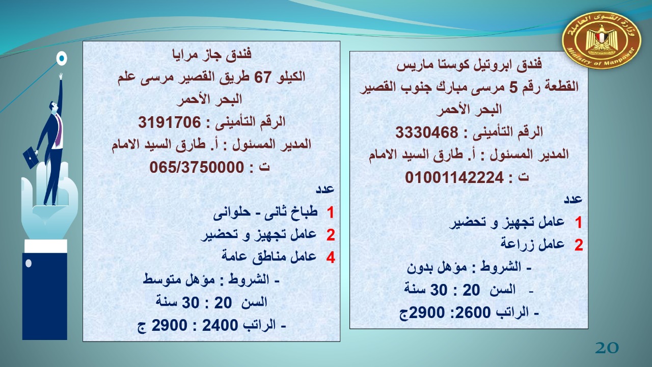 براتب يبداء من 2400.. القوى العاملة توفر 22 19 فرص عمل للجنسين 