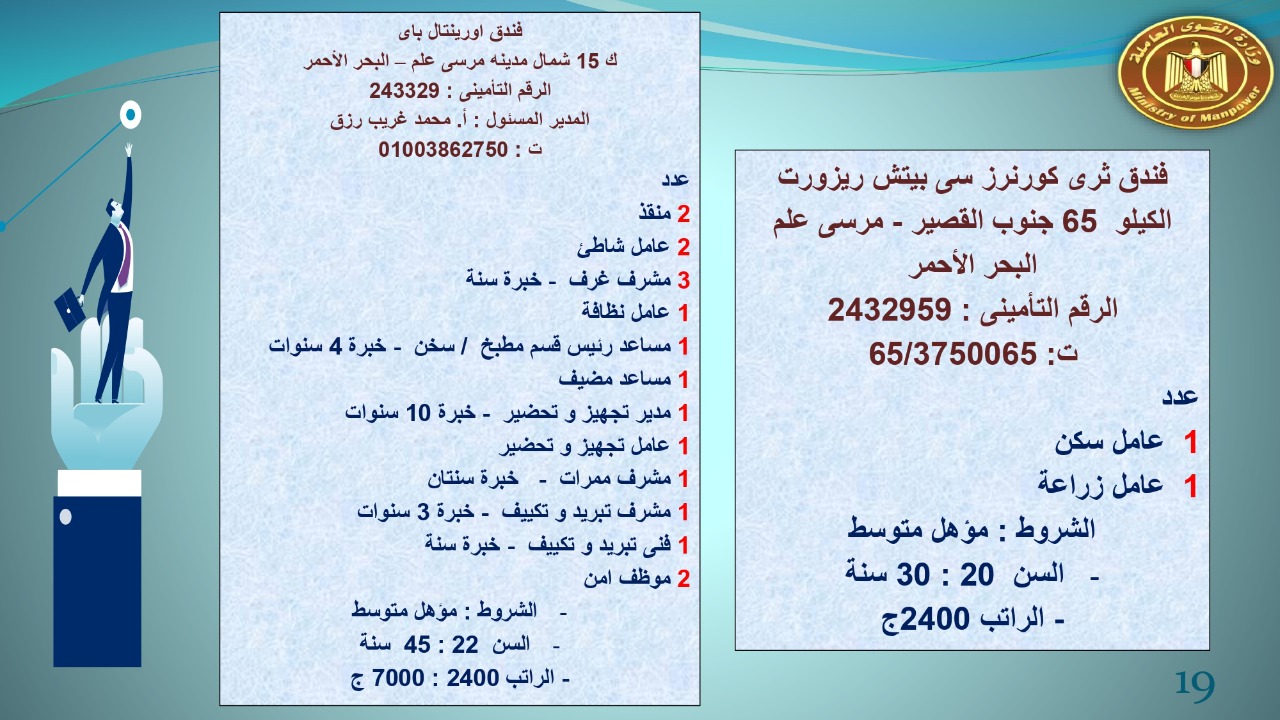 براتب يبداء من 2400.. القوى العاملة توفر 22 19 فرص عمل للجنسين 
