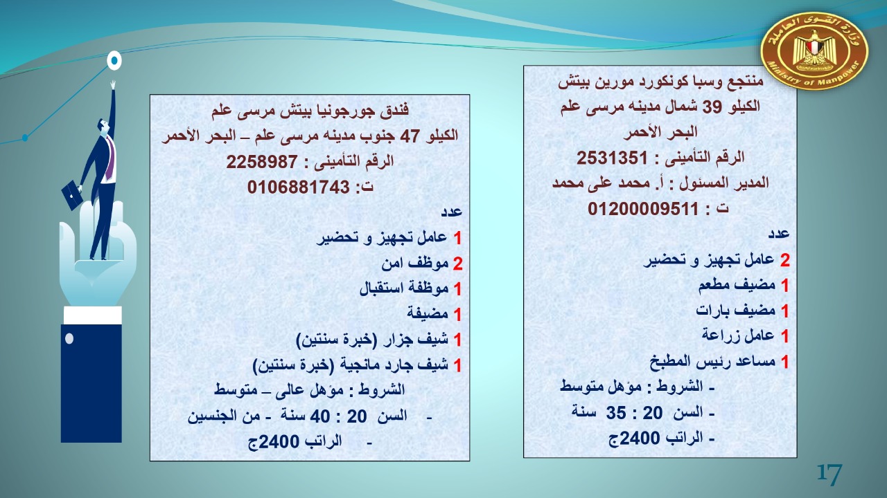 براتب يبداء من 2400.. القوى العاملة توفر 22 19 فرص عمل للجنسين 