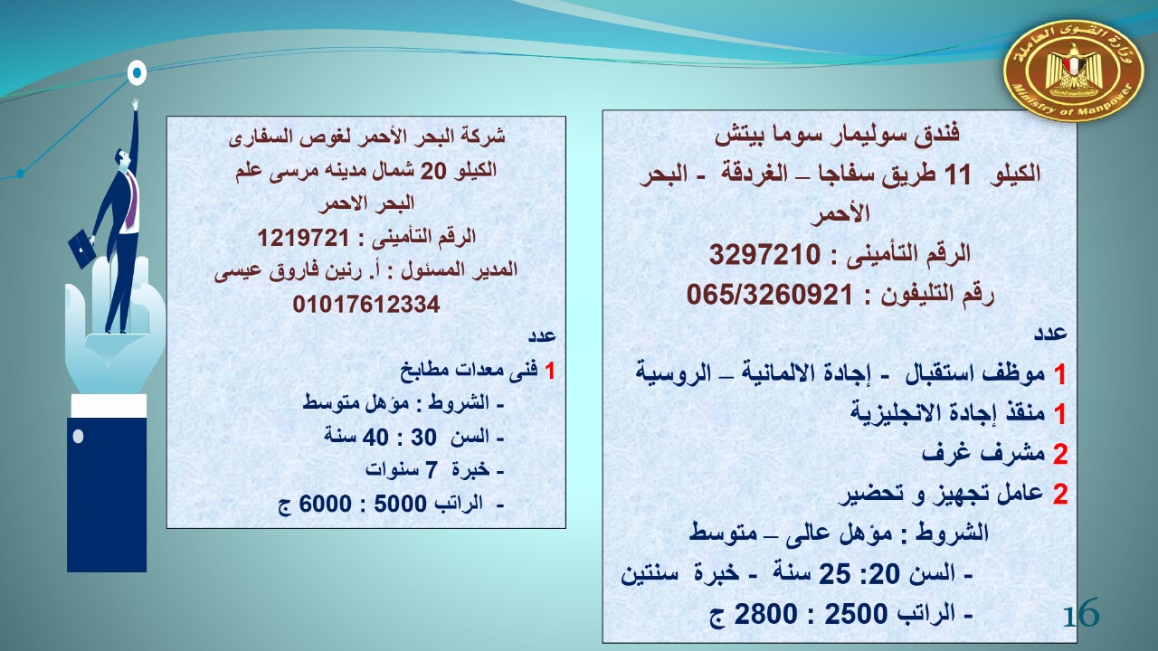 براتب يبداء من 2400.. القوى العاملة توفر 22 19 فرص عمل للجنسين 