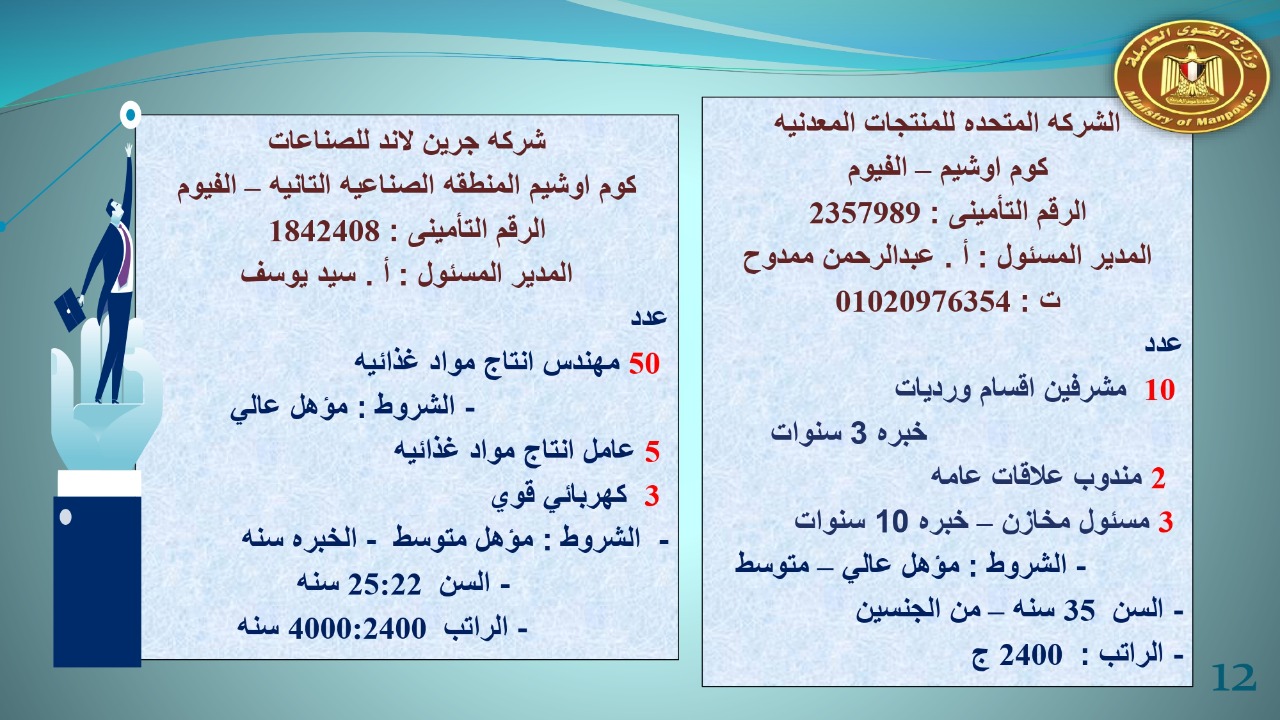 براتب يبداء من 2400.. القوى العاملة توفر 22 19 فرص عمل للجنسين 
