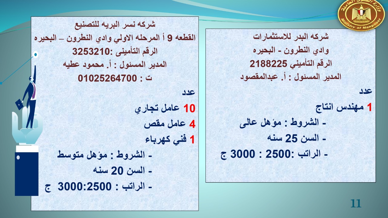 براتب يبداء من 2400.. القوى العاملة توفر 22 19 فرص عمل للجنسين 