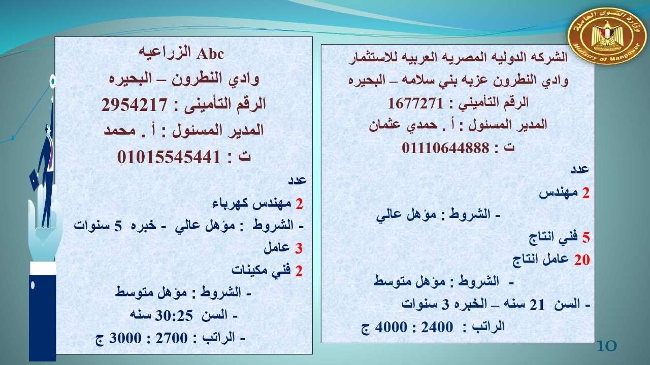 براتب يبداء من 2400.. القوى العاملة توفر 22 19 فرص عمل للجنسين 